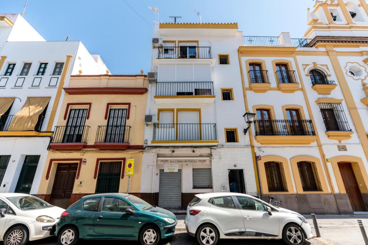 Apartament Holi-rent Pureza *